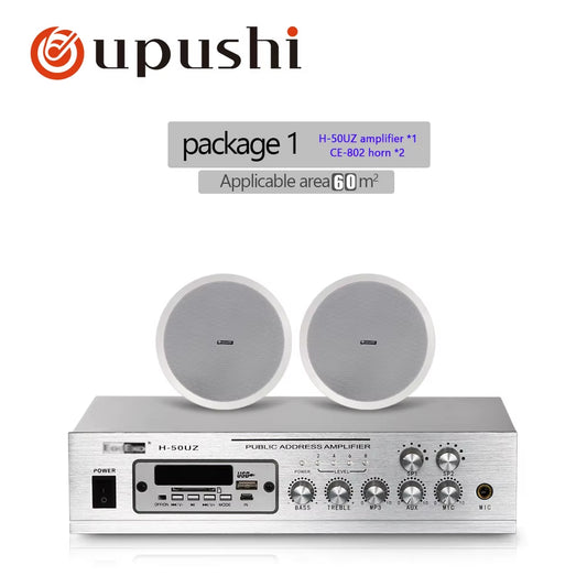 Dual Zone Home Audio System with 8-Inch In-Ceiling Speakers, 50W Digital Amplifier, MP3, USB, FM, and SD Card Support