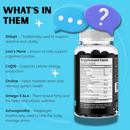 Himalayan Shilajit with Lion’S Mane, Ashwagandha, Coq10, and Omega-3 – Premium Exclusive Gummies for Energy, Focus, and Wellness - 60 Count